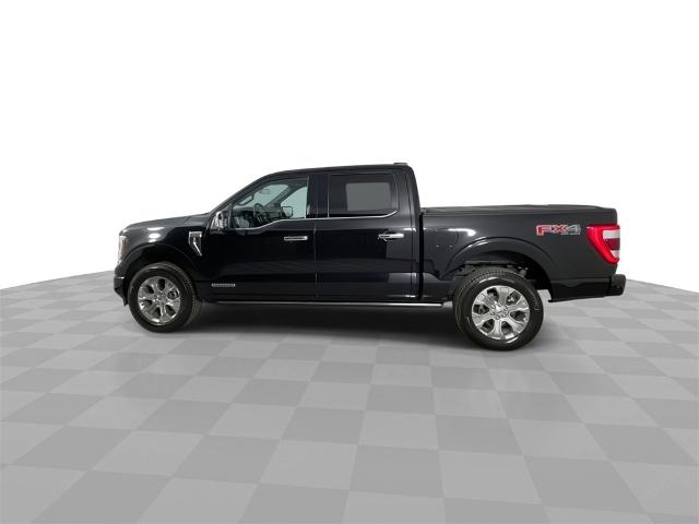 2022 Ford F-150 Vehicle Photo in GILBERT, AZ 85297-0402