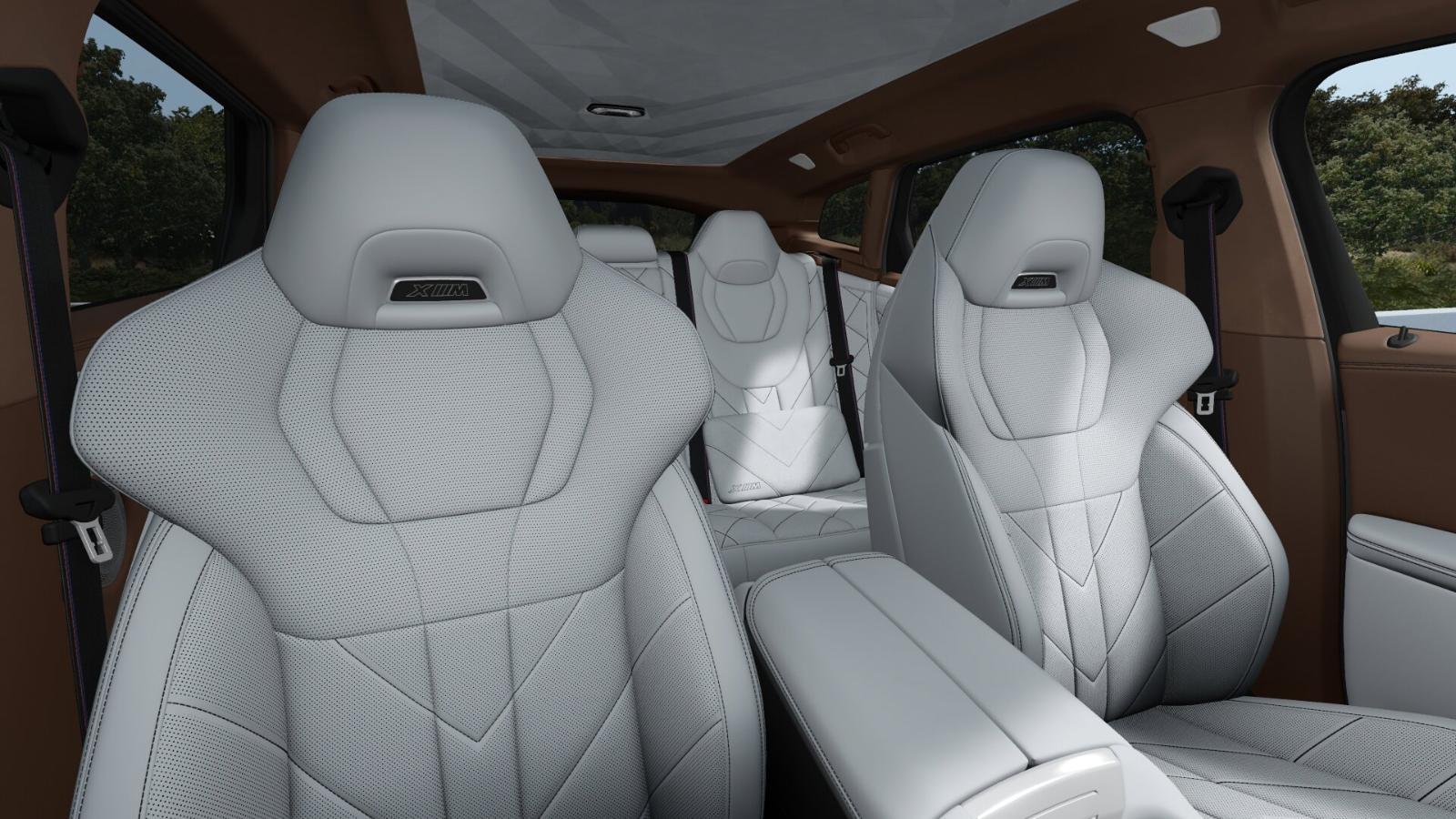 2025 BMW XM Vehicle Photo in GRAPEVINE, TX 76051