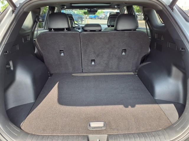 2023 Kia Sportage Vehicle Photo in Oshkosh, WI 54904
