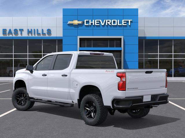 2025 Chevrolet Silverado 1500 Vehicle Photo in Roslyn, NY 11576