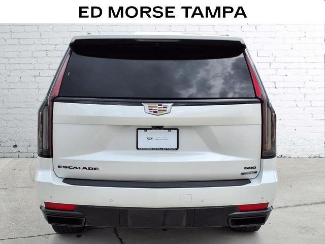 2024 Cadillac Escalade Vehicle Photo in Tampa, FL 33612