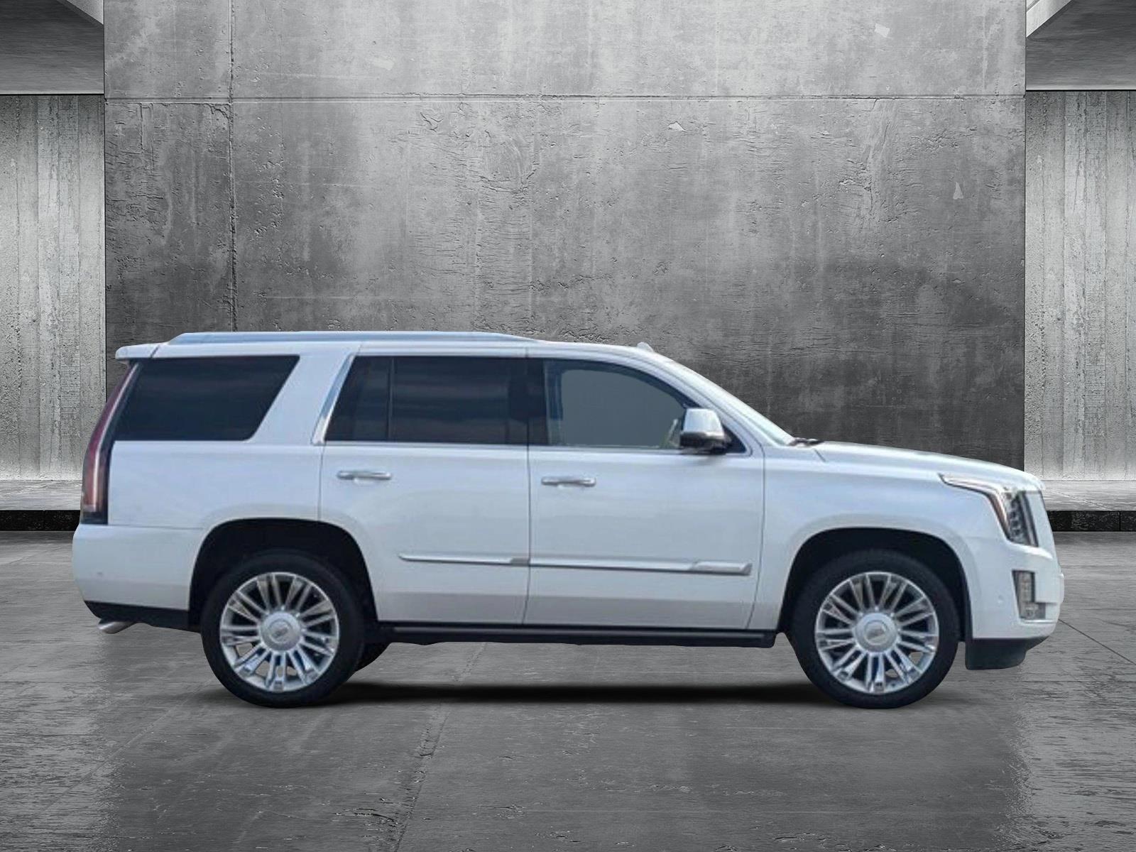 2019 Cadillac Escalade Vehicle Photo in CORPUS CHRISTI, TX 78412-4902