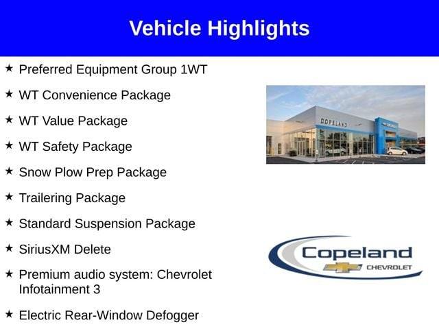 2025 Chevrolet Silverado 1500 Vehicle Photo in BROCKTON, MA 02301-7113