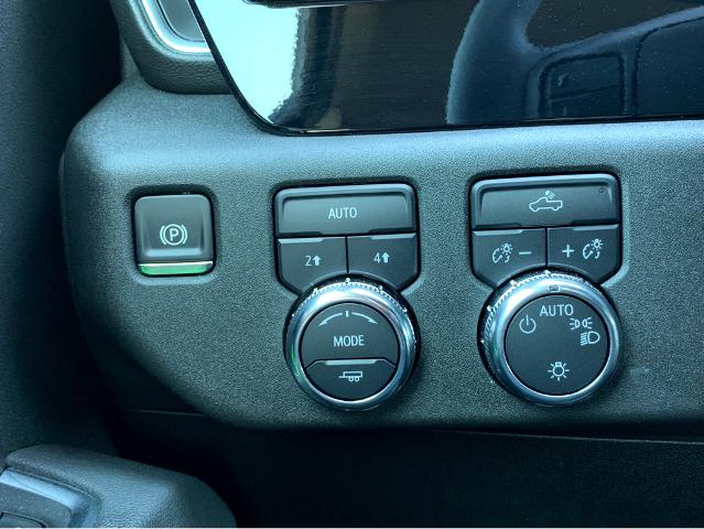 2025 GMC Sierra 1500 Vehicle Photo in BEAUFORT, SC 29906-4218