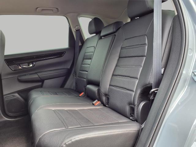 2026 Honda CR-V Vehicle Photo in Oshkosh, WI 54904