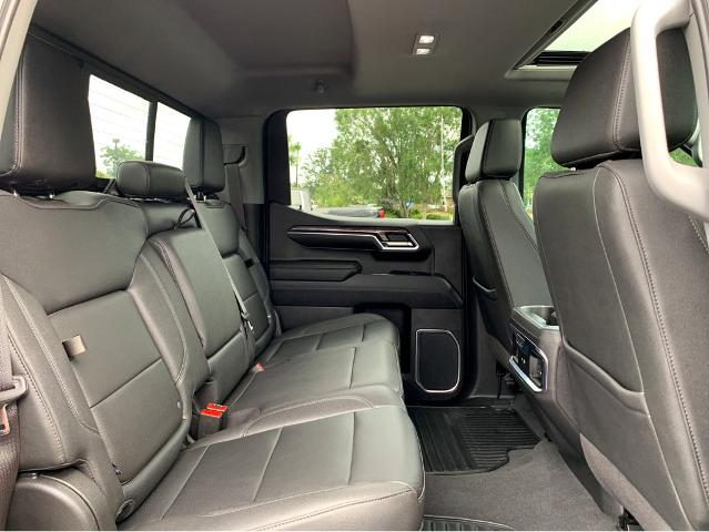 2023 Chevrolet Silverado 1500 Vehicle Photo in BEAUFORT, SC 29906-4218