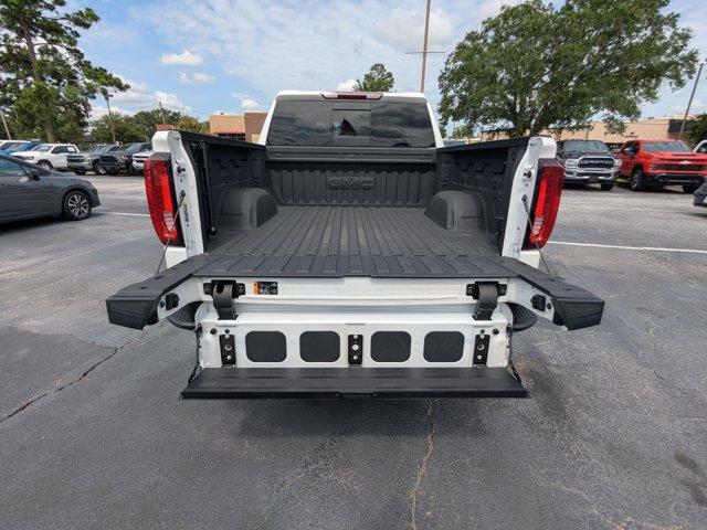 2023 GMC Sierra 1500 Vehicle Photo in BRUNSWICK, GA 31525-1881