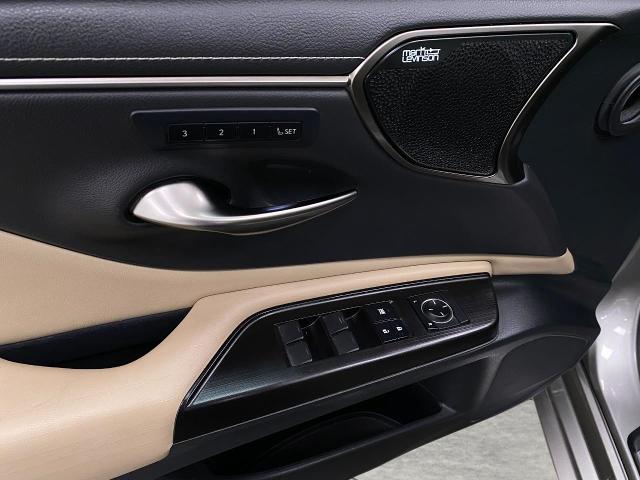 2019 Lexus ES 350 Vehicle Photo in Appleton, WI 54913