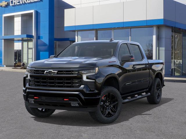 2025 Chevrolet Silverado 1500 Vehicle Photo in DANBURY, CT 06810-5034