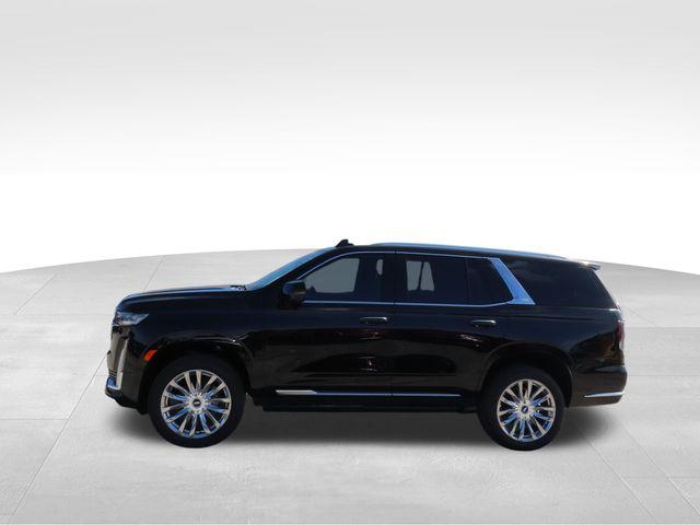 2024 Cadillac Escalade Vehicle Photo in DELRAY BEACH, FL 33483-3294