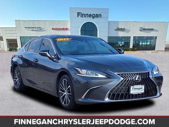 2022 Lexus ES 350 Vehicle Photo in ROSENBERG, TX 77471