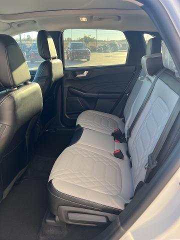 2024 Ford Escape Vehicle Photo in Winslow, AZ 86047-2439