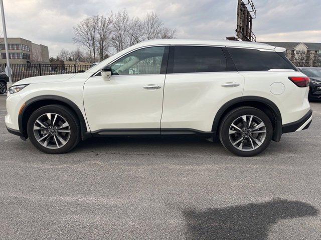 2024 INFINITI QX60 Vehicle Photo in Willow Grove, PA 19090