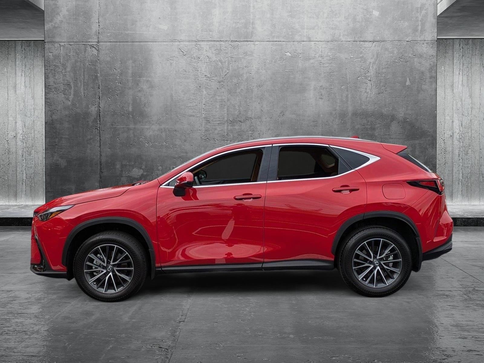 2025 Lexus NX 250 Vehicle Photo in Clearwater, FL 33761