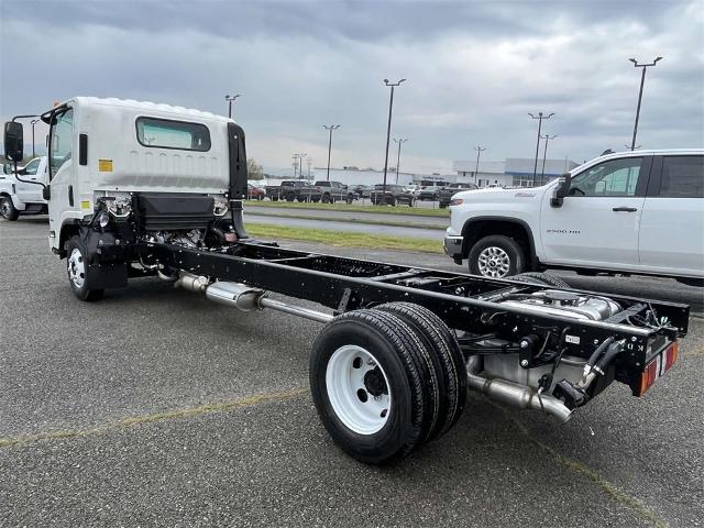 2024 Chevrolet Low Cab Forward 3500 Vehicle Photo in ALCOA, TN 37701-3235