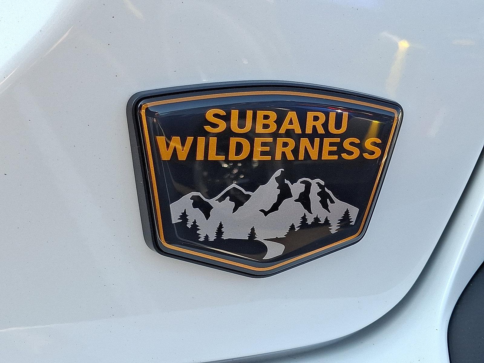 2025 Subaru Crosstrek Vehicle Photo in Easton, PA 18045