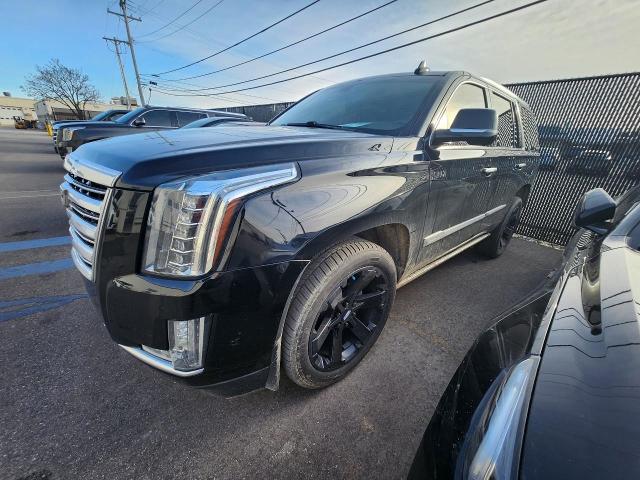 2019 Cadillac Escalade Vehicle Photo in MADISON, WI 53713-3220