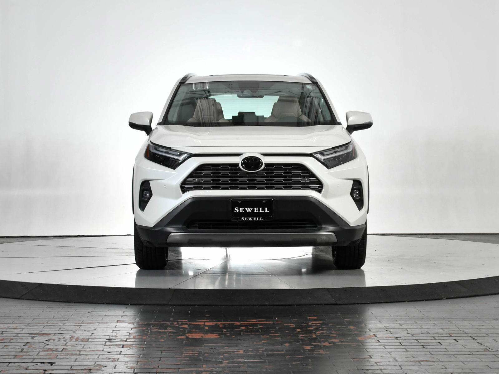 2022 Toyota RAV4 Vehicle Photo in DALLAS, TX 75235