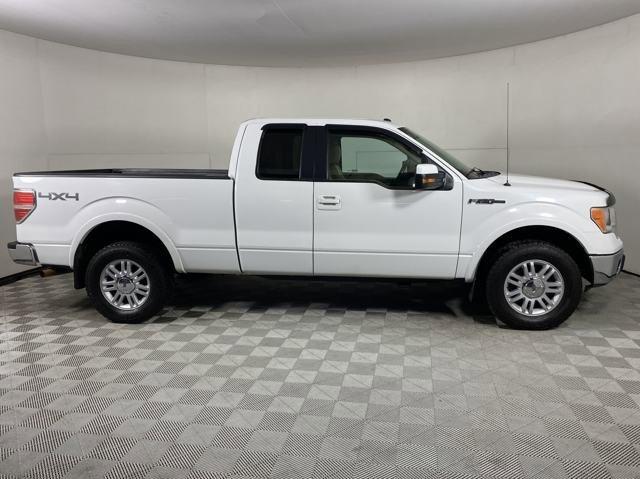 2010 Ford F150 Vehicle Photo in MEDINA, OH 44256-9001