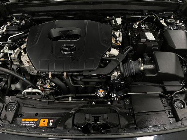 2024 Mazda CX-30 Vehicle Photo in Appleton, WI 54913