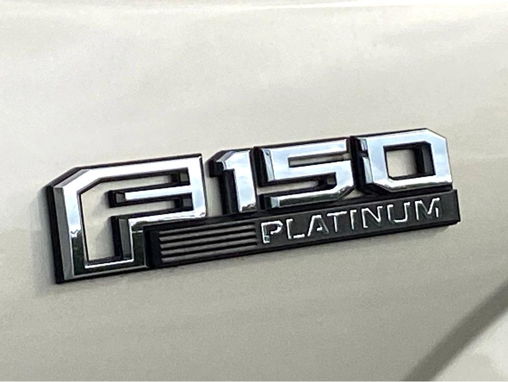 2017 Ford F-150 Vehicle Photo in POOLER, GA 31322-3252