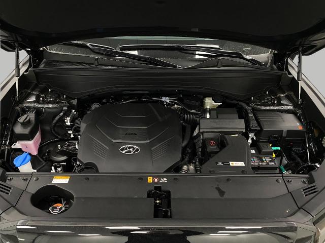 2025 Hyundai PALISADE Vehicle Photo in Appleton, WI 54913