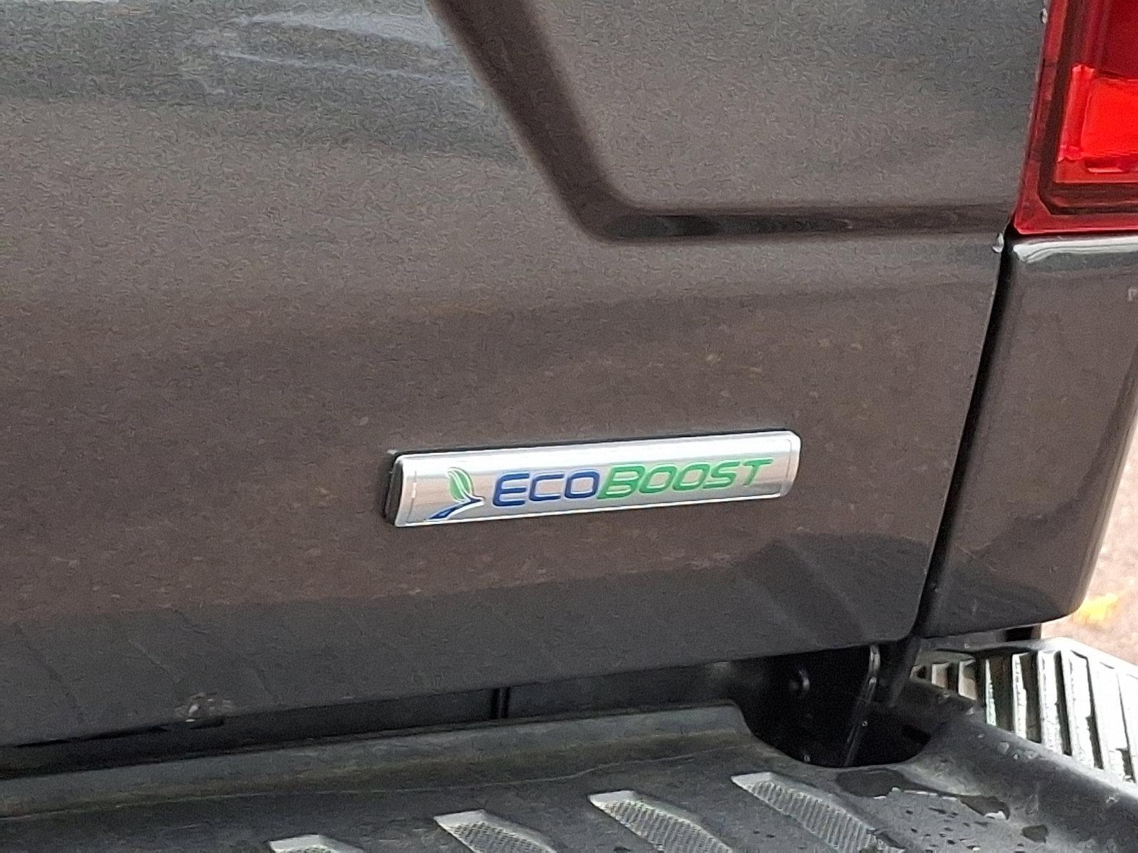 2020 Ford F-150 Vehicle Photo in Willow Grove, PA 19090