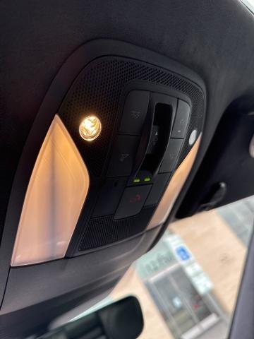 2023 INFINITI QX50 Vehicle Photo in San Antonio, TX 78230