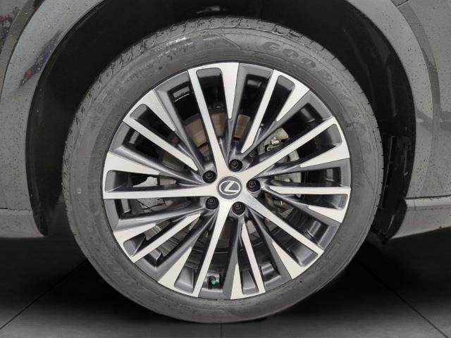 2023 Lexus RX Vehicle Photo in NEENAH, WI 54956-2243
