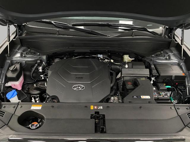 2025 Hyundai PALISADE Vehicle Photo in Appleton, WI 54913