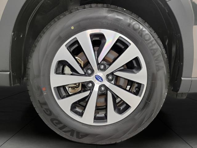 2024 Subaru Outback Vehicle Photo in Green Bay, WI 54304