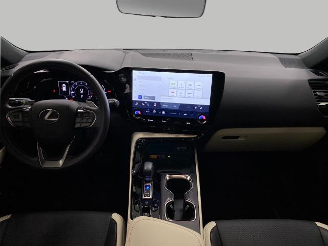 2024 Lexus NX 250 Vehicle Photo in Appleton, WI 54913