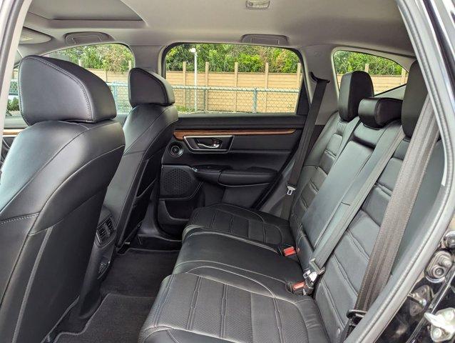2019 Honda CR-V Vehicle Photo in San Antonio, TX 78230