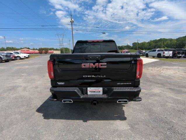 2025 GMC Sierra 1500 Vehicle Photo in ALBERTVILLE, AL 35950-0246