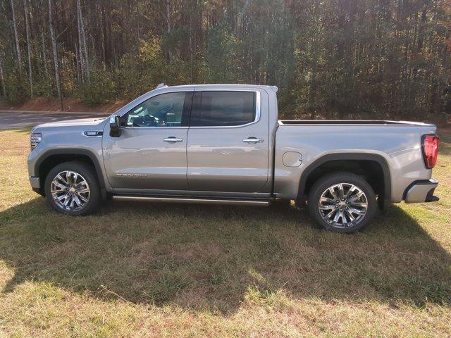 2025 GMC Sierra 1500 Vehicle Photo in ALBERTVILLE, AL 35950-0246