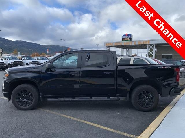 2024 Chevrolet Silverado 1500 Vehicle Photo in POST FALLS, ID 83854-5365