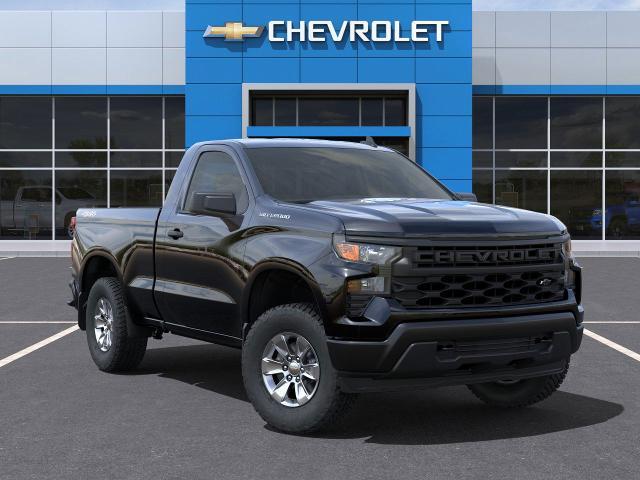 2025 Chevrolet Silverado 1500 Vehicle Photo in MASSENA, NY 13662-2255