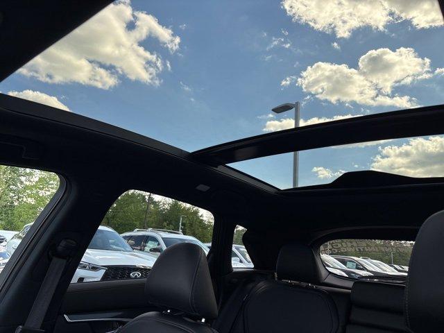 2024 INFINITI QX50 Vehicle Photo in Willow Grove, PA 19090