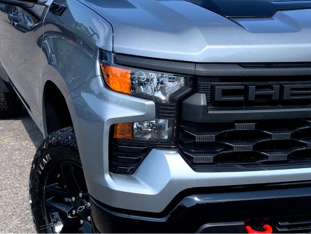 2025 Chevrolet Silverado 1500 Vehicle Photo in BEAUFORT, SC 29906-4218