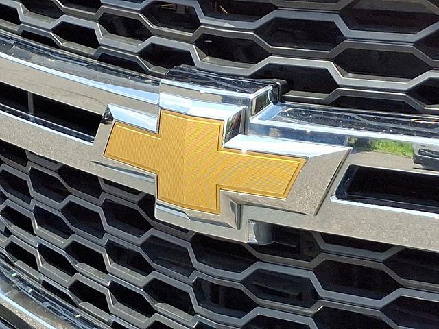 2019 Chevrolet Tahoe Vehicle Photo in DANBURY, CT 06810-5034