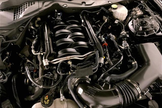 2023 Ford Mustang Vehicle Photo in Lees Summit, MO 64086