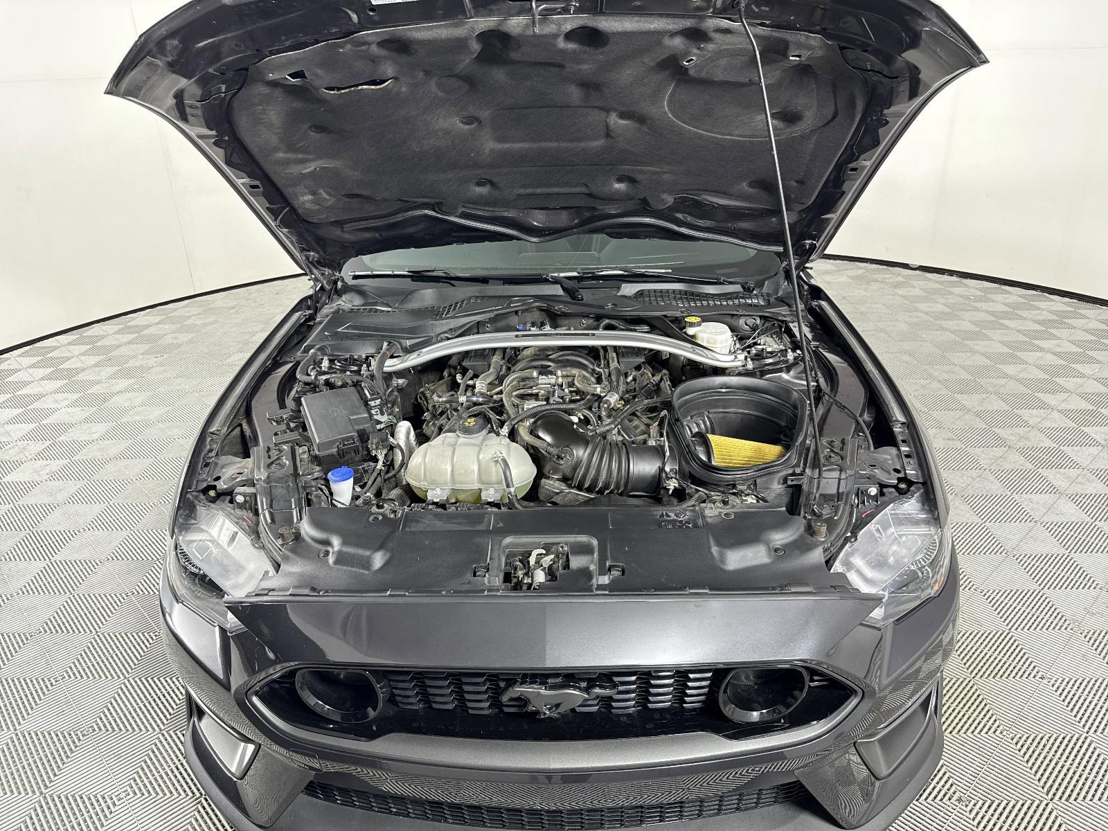2022 Ford Mustang Vehicle Photo in Georgetown, TX 78626