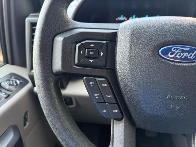 2019 Ford F-150 Vehicle Photo in Appleton, WI 54914
