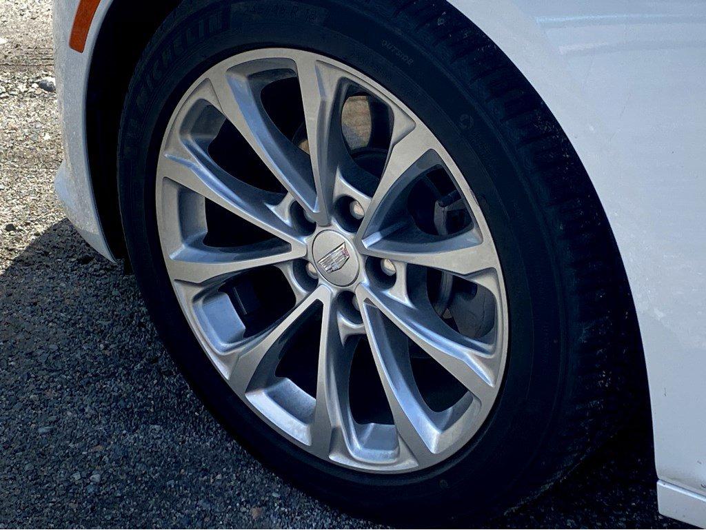2024 Cadillac CT5 Vehicle Photo in SAVANNAH, GA 31406-4513