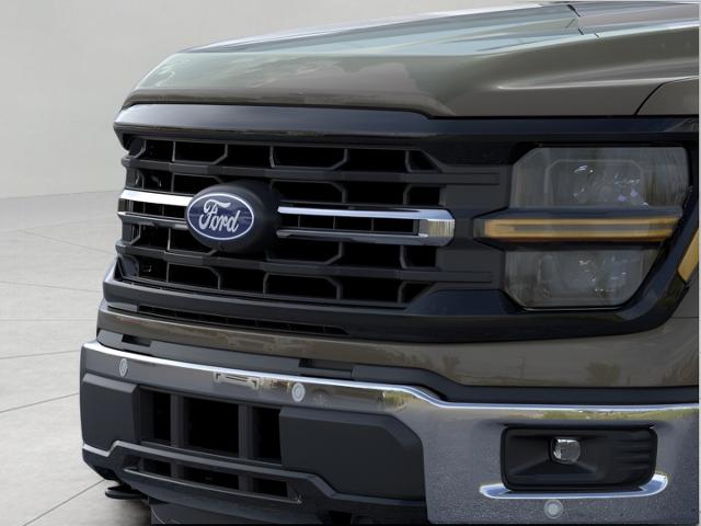 2025 Ford F-150 Vehicle Photo in Oshkosh, WI 54901