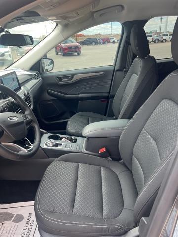 2024 Ford Escape Vehicle Photo in Winslow, AZ 86047-2439