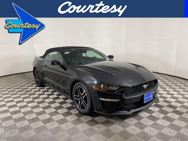 2022 Ford Mustang Vehicle Photo in PHOENIX, AZ 85014-3381