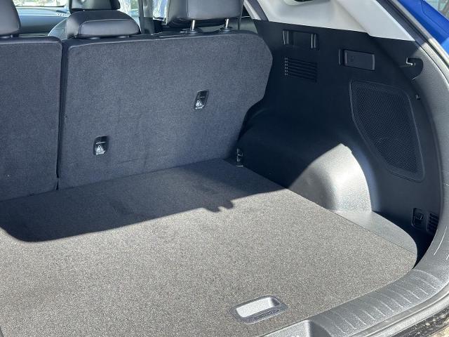 2023 Kia Sportage Vehicle Photo in Tucson, AZ 85712