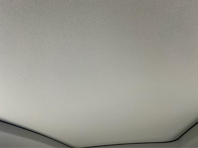 2024 Audi Q3 Vehicle Photo in HOUSTON, TX 77090