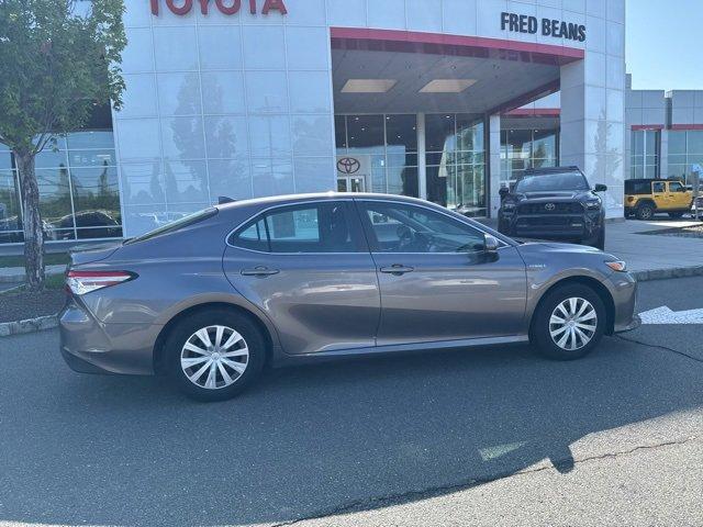 2019 Toyota Camry Vehicle Photo in Flemington, NJ 08822